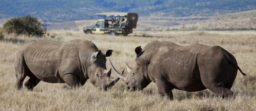 The Great Camps of Kenya Safari (9 Days) - www.safaris101.com