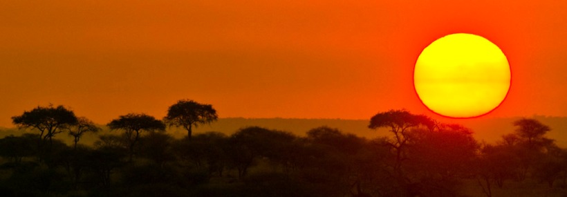 The Kiboko Safari (6 Days) - www.safaris101.com
