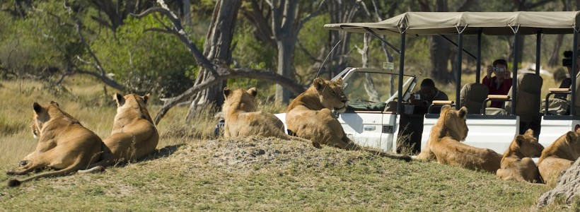 The Romance in Botswana Safari (7 Days) - www.safaris101.com