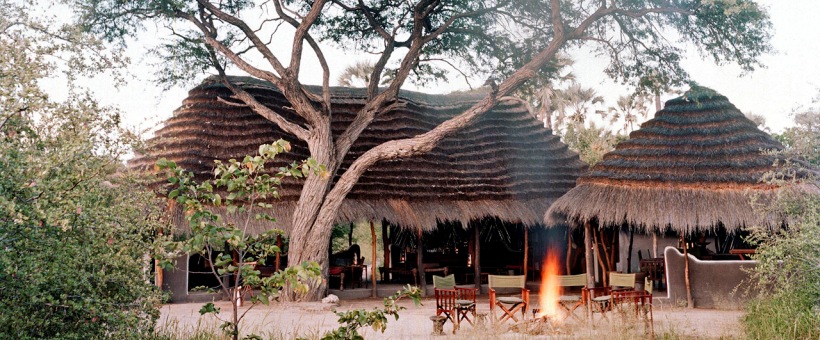 Untamed Botswana Safari (11 Days) - www.safaris101.com