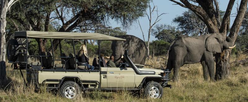 The Hidden Migration in Botswana Safari (7 Days) - www.safaris101.com