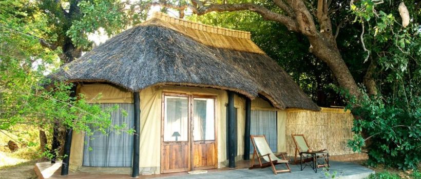 Essential Zambia Safari (10 Nights) - www.safaris101.com