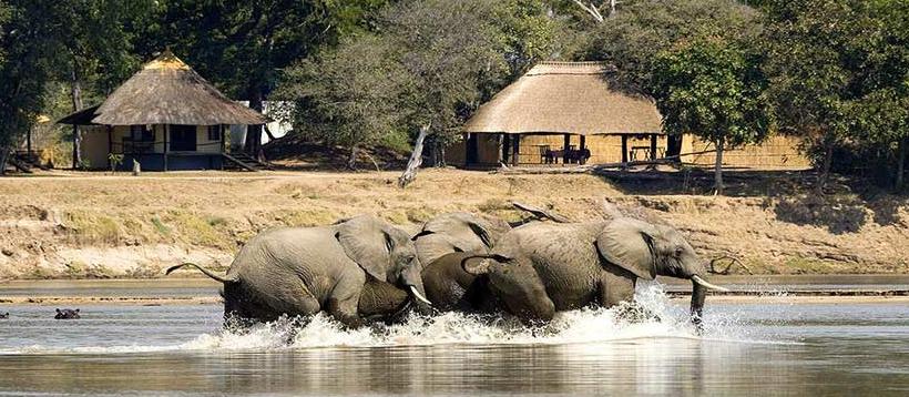 The North Luangwa Walking Safari (11 Days) - www.safaris101.com