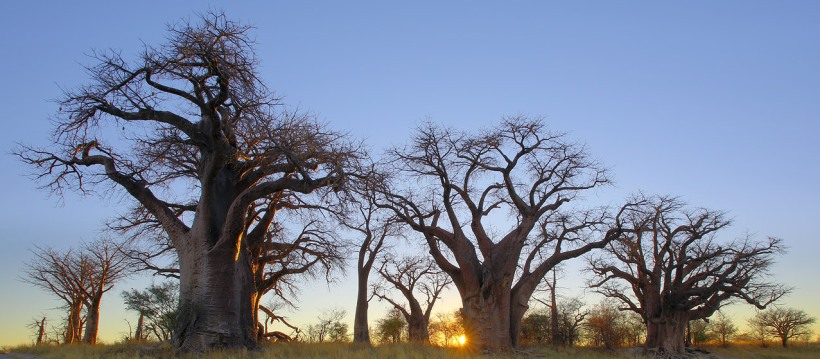 Botswana Safari on a Budget (10 Days) - www.safaris101.com