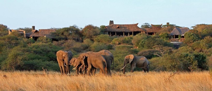 The Superior Choice Safari - Kenya (10 Days) - www.safaris101.com