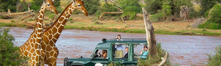 The Wings Over East Africa Safari (11 Days) - www.safaris101.com