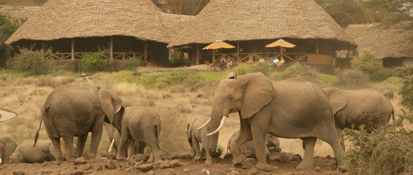 The Best of Kenya Safari (11 Days) - www.safaris101.com