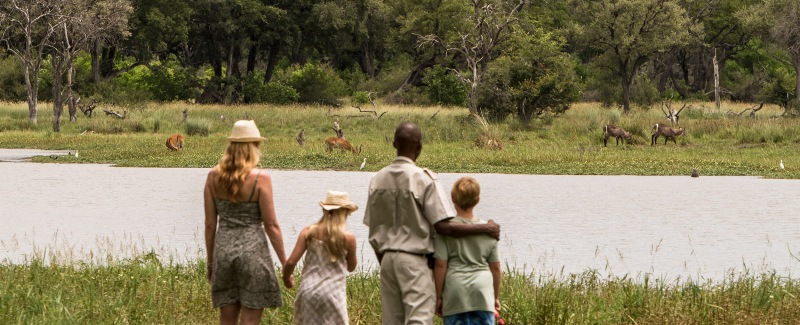 The Ultimate Family Safari with Desert and Delta Safaris in Botswana (9 Days) - www.safaris101.com