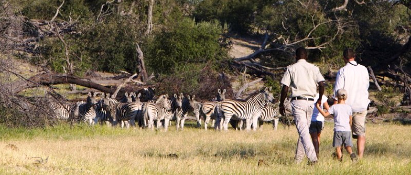 The Ultimate Family Safari with Desert and Delta Safaris in Botswana (9 Days) - www.safaris101.com